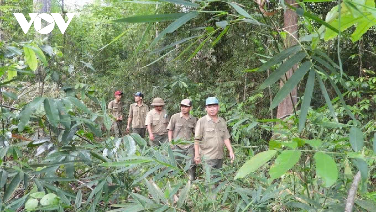 tay ninh tang cuong bien phap bao ve rung truoc canh bao chay cap 5 hinh anh 2