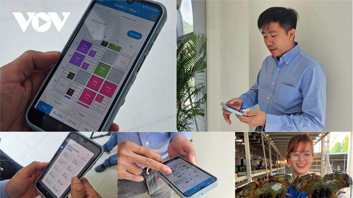 tu cua lot, chanh vang den chuoi, ai nang tam nong san viet hinh anh 1