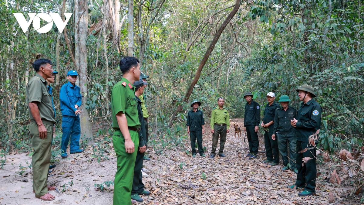 tay ninh tang cuong bien phap bao ve rung truoc canh bao chay cap 5 hinh anh 1