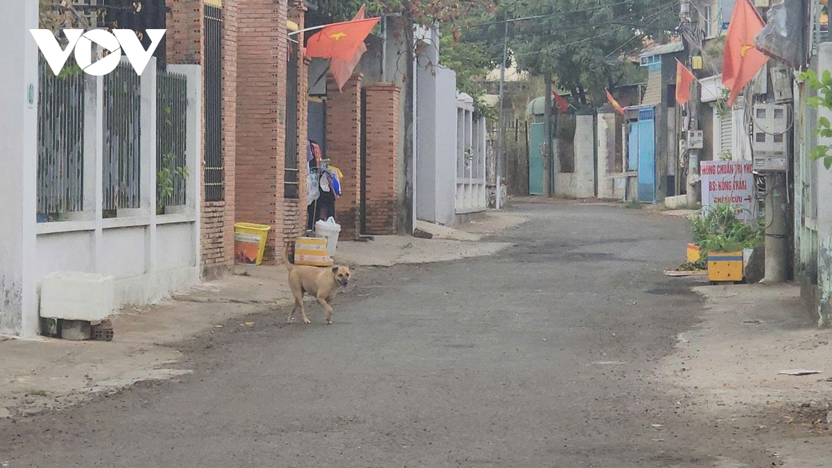 31 o dich dai bung phat tai Dong nai, hiem hoa tu van nan cho tha rong hinh anh 1