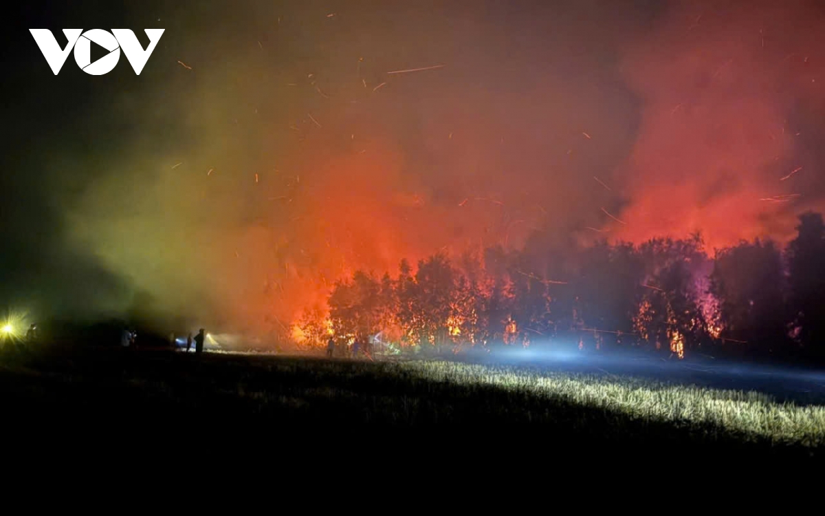 chay o rung tram binh minh, co to, an giang hinh anh 1