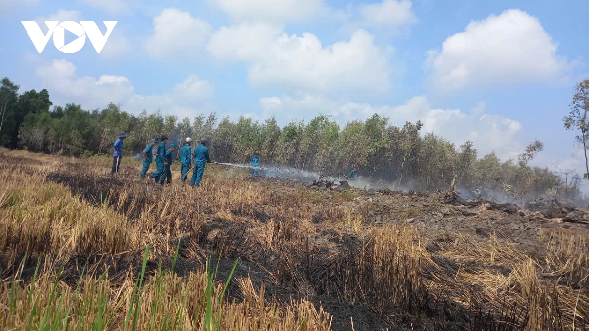 chay o rung tram binh minh, co to, an giang hinh anh 2