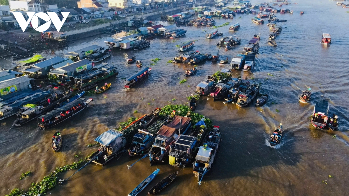 tim loi giai ben vung cho bao ton va phat trien cho noi cai rang hinh anh 1