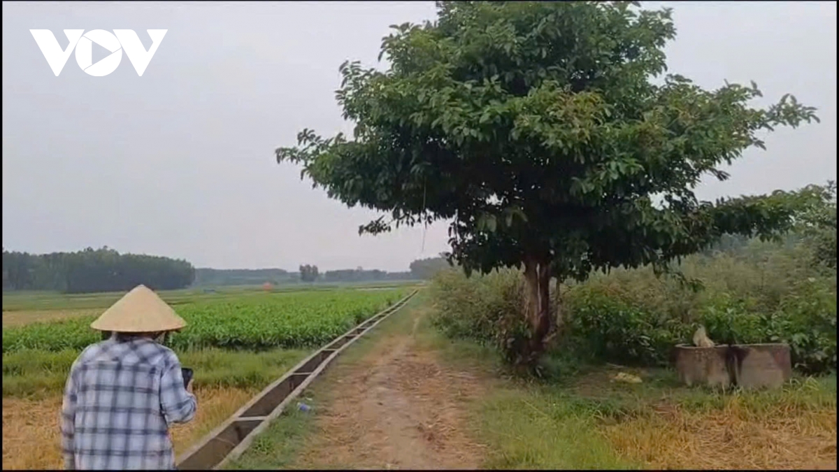 nguoi dan ong o quang ngai bi set danh tu vong khi tru mua ngoai dong hinh anh 1