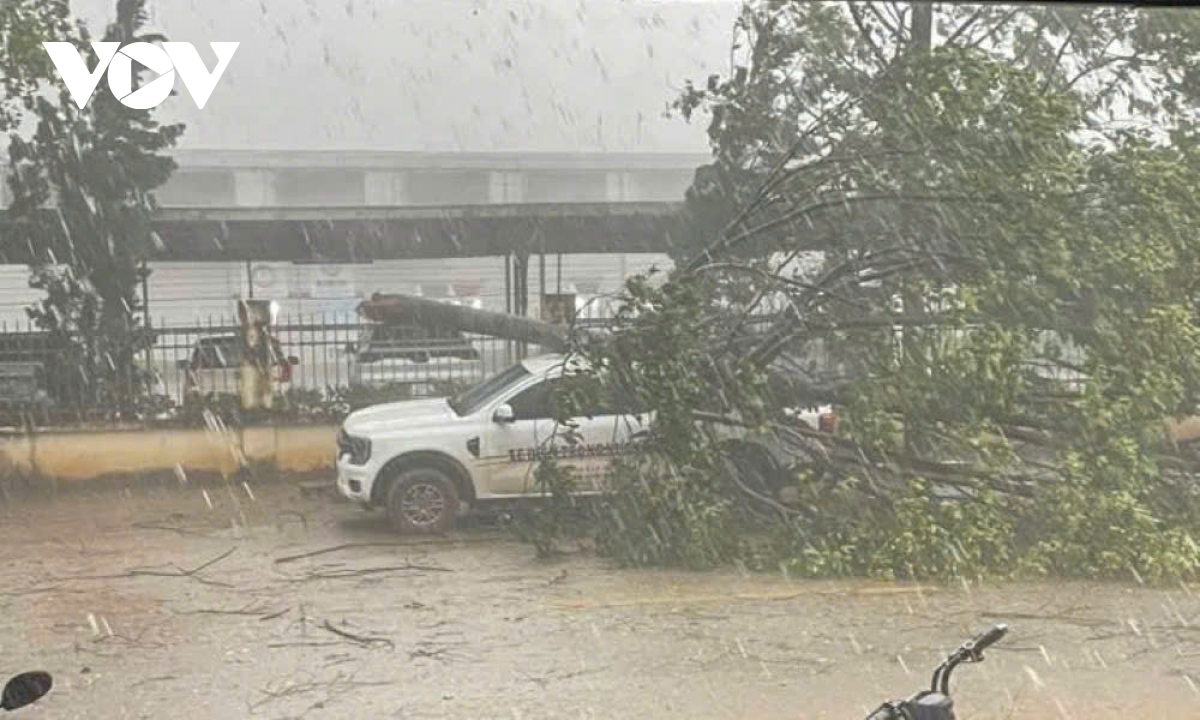 dong loc kem theo mua lon gay thiet hai tai san nguoi dan o thanh hoa hinh anh 6