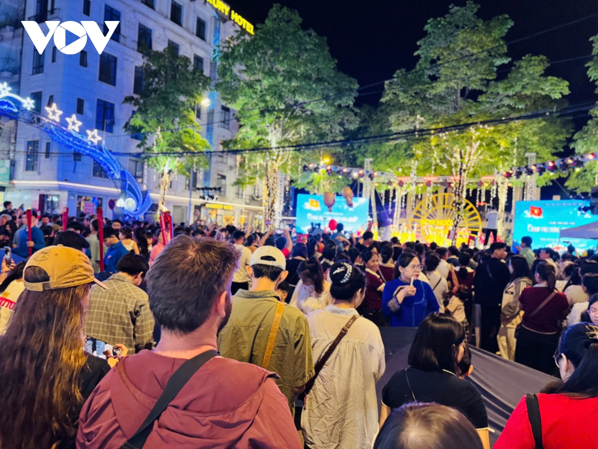 Dong dao du khach du hoi, trai nghiem chat kin pho di bo kim Dong cao bang hinh anh 4