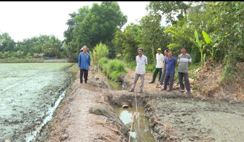 kenh tuoi o tay ninh o nhiem, nguoi dan lo mat mua, anh huong suc khoe hinh anh 3