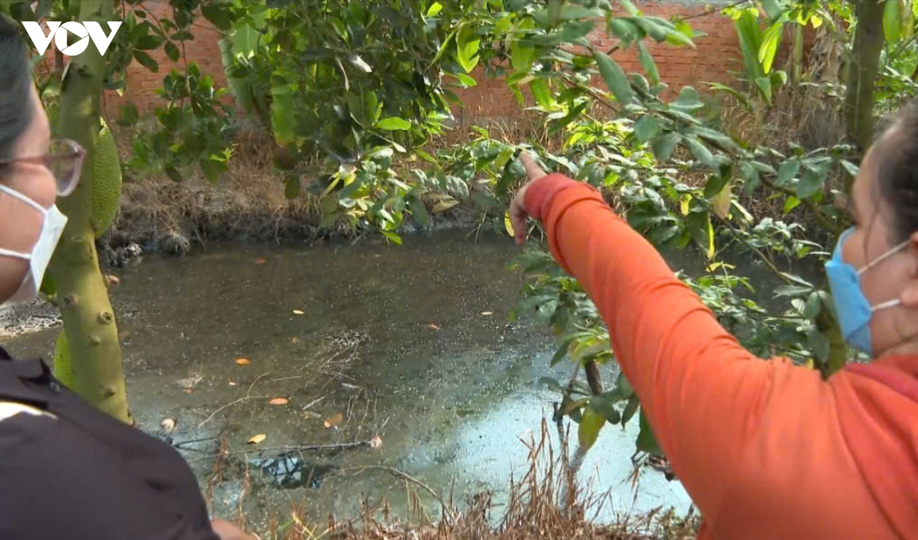 kenh tuoi o tay ninh o nhiem, nguoi dan lo mat mua, anh huong suc khoe hinh anh 1