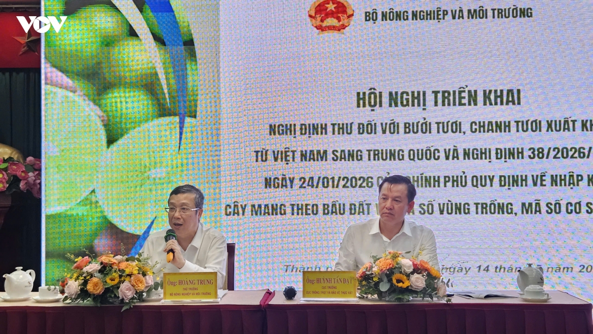 xuat khau buoi, chanh sang trung quoc go nghen ma so vung trong hinh anh 1