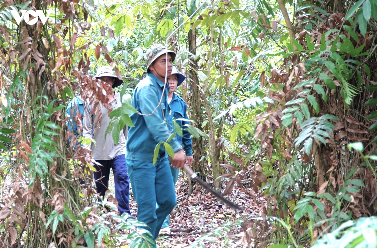 ca mau khong lo la trong cong tac phong chay chua chay rung hinh anh 1