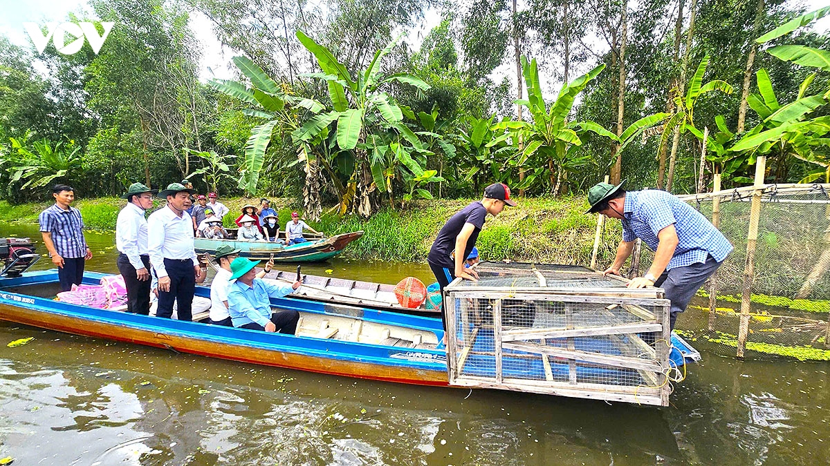 ca mau nang tam tai nguyen ky uc dat rung u minh ha de phat trien du lich hinh anh 1