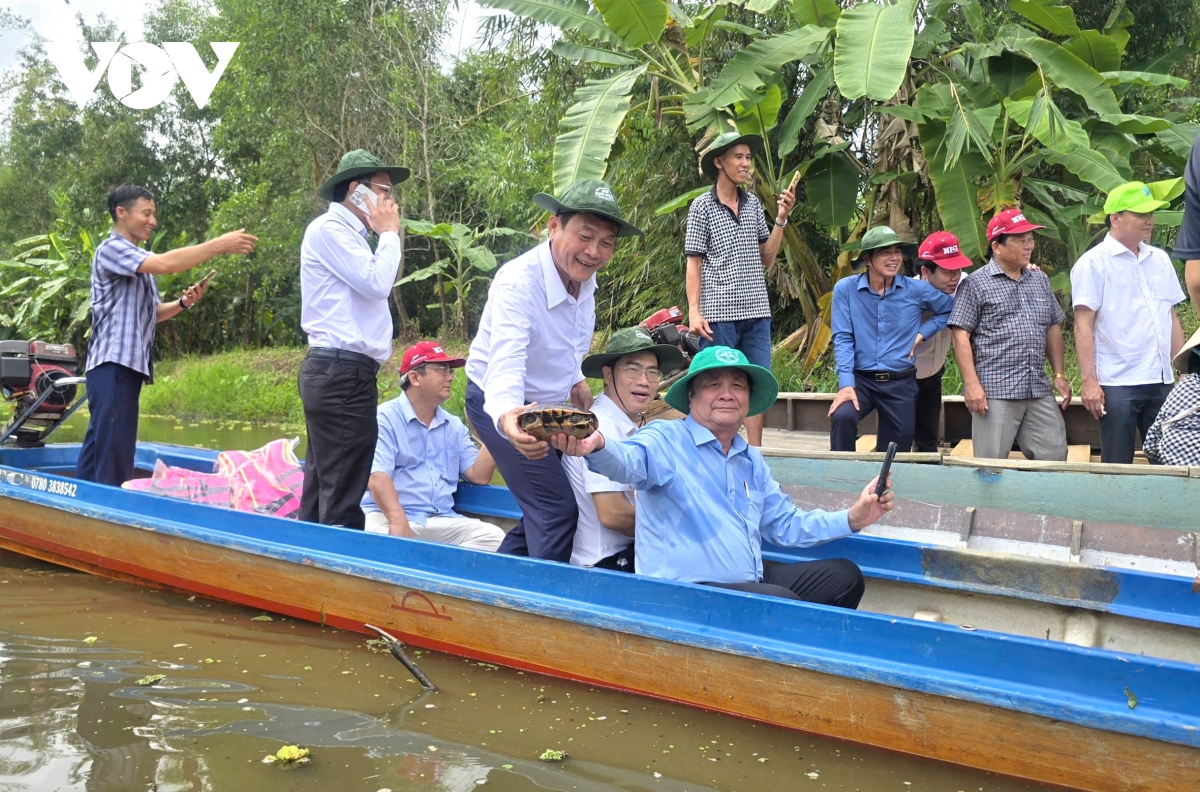 An tuong ngay hoi tai vuon quoc gia u minh ha, tinh ca mau hinh anh 1