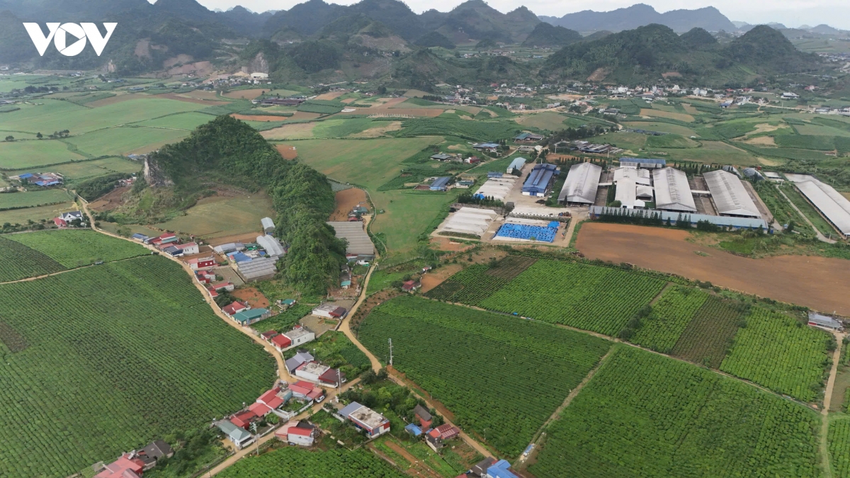 O nhiem nguon nuoc o son la nguyen nhan la do cac ho chan nuoi bo sua hinh anh 3
