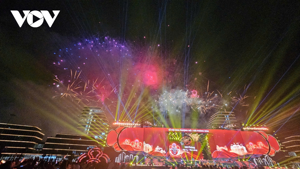 khai mac le hoi hoa phuong Do 2026 hai phong - hoi tu - toa sang hinh anh 4