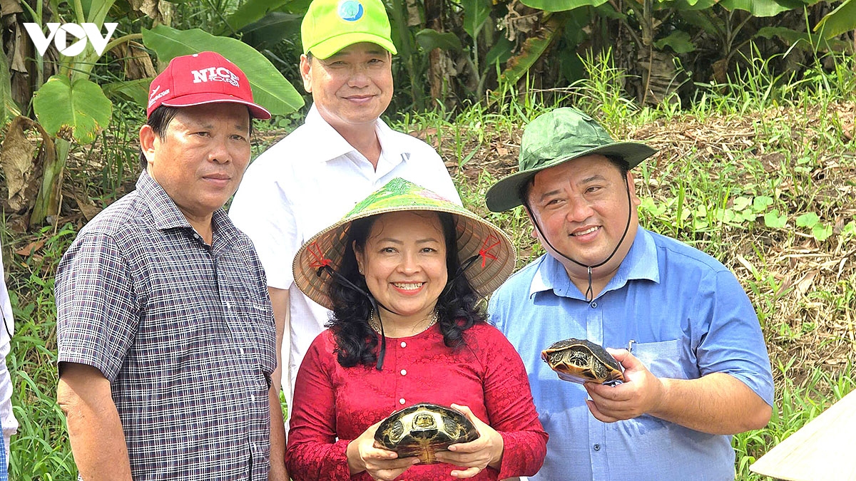 ca mau nang tam tai nguyen ky uc dat rung u minh ha de phat trien du lich hinh anh 3