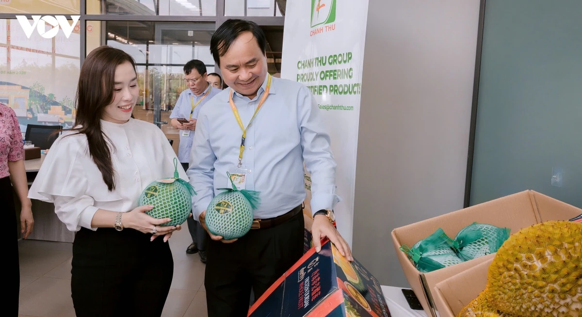 nan be keo trong nong nghiep, nong dan tu cat dut co hoi xuat khau hinh anh 3