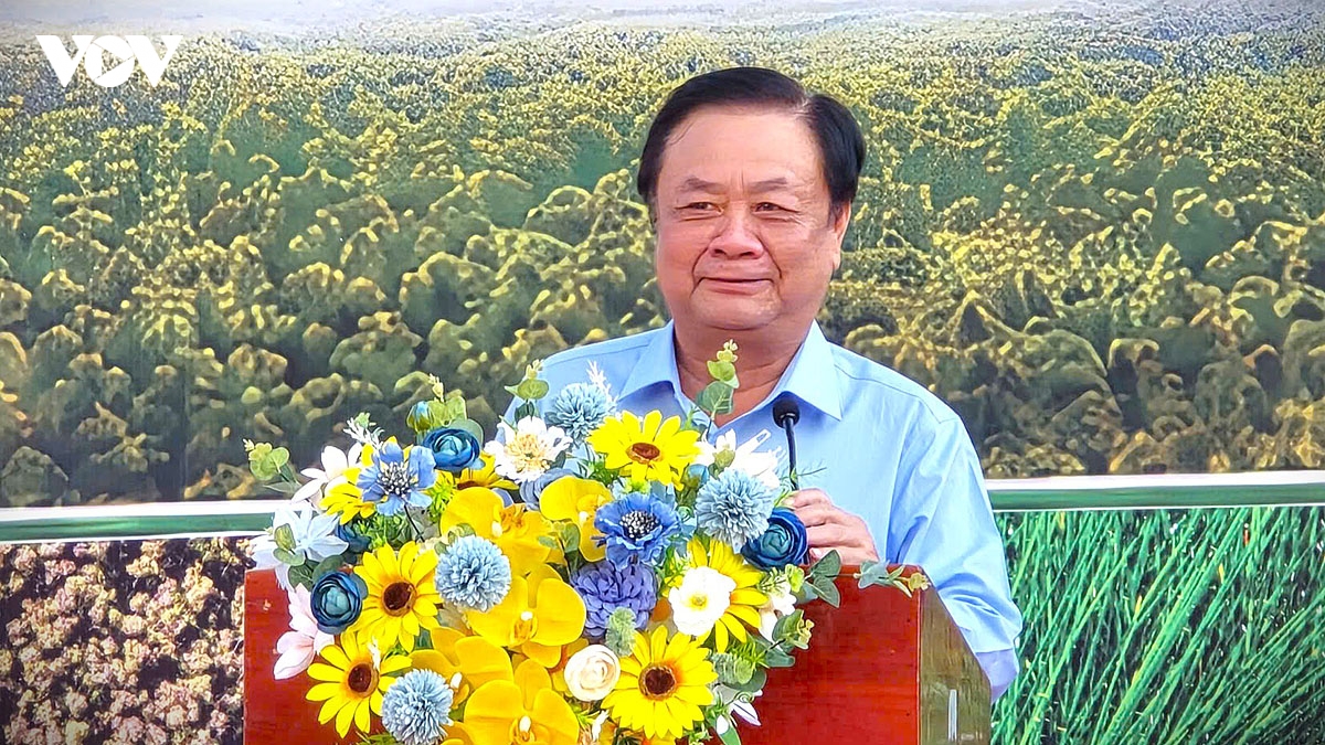 ca mau nang tam tai nguyen ky uc dat rung u minh ha de phat trien du lich hinh anh 4