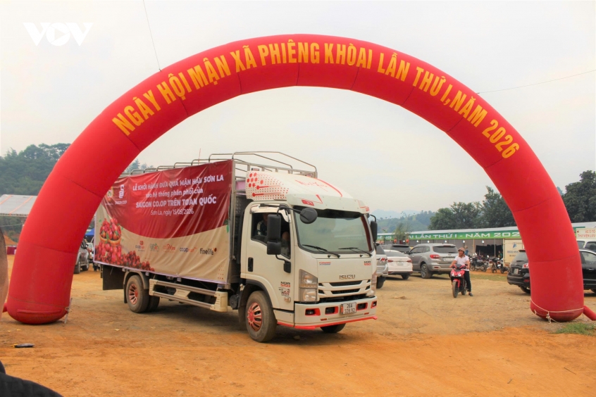 Đưa mận hậu Sơn La lên suất ăn hàng không và hệ thống phân phối lớn