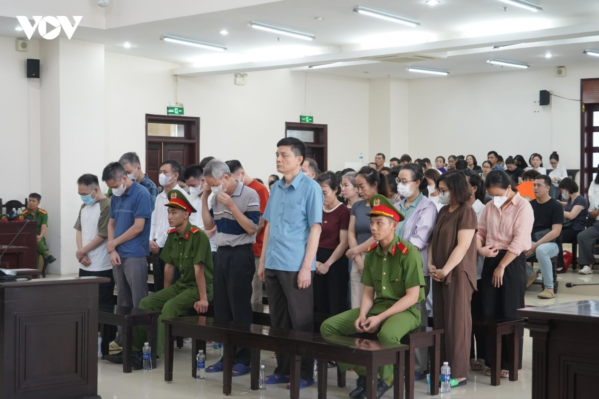 cuu cuc truong nguyen thanh phong, tran viet nga duoc giam an tu vu nhan hoi lo hinh anh 2