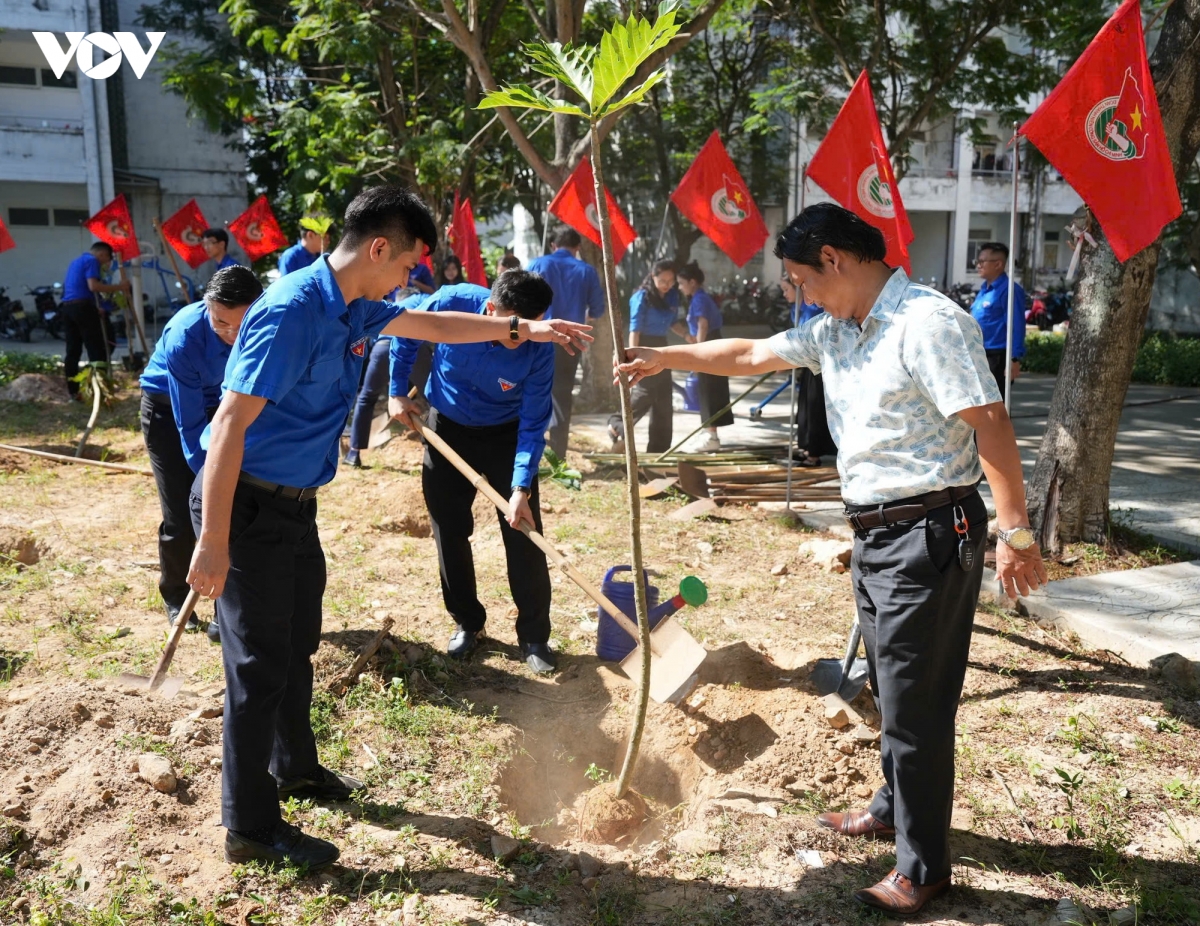 hon 1.000 doan vien thanh nien Da nang ra quan ngay chu nhat xanh hinh anh 6