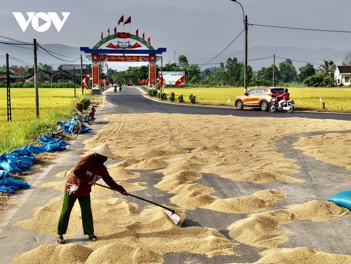  mua vang o vung ron lu Dak lak hinh anh 2