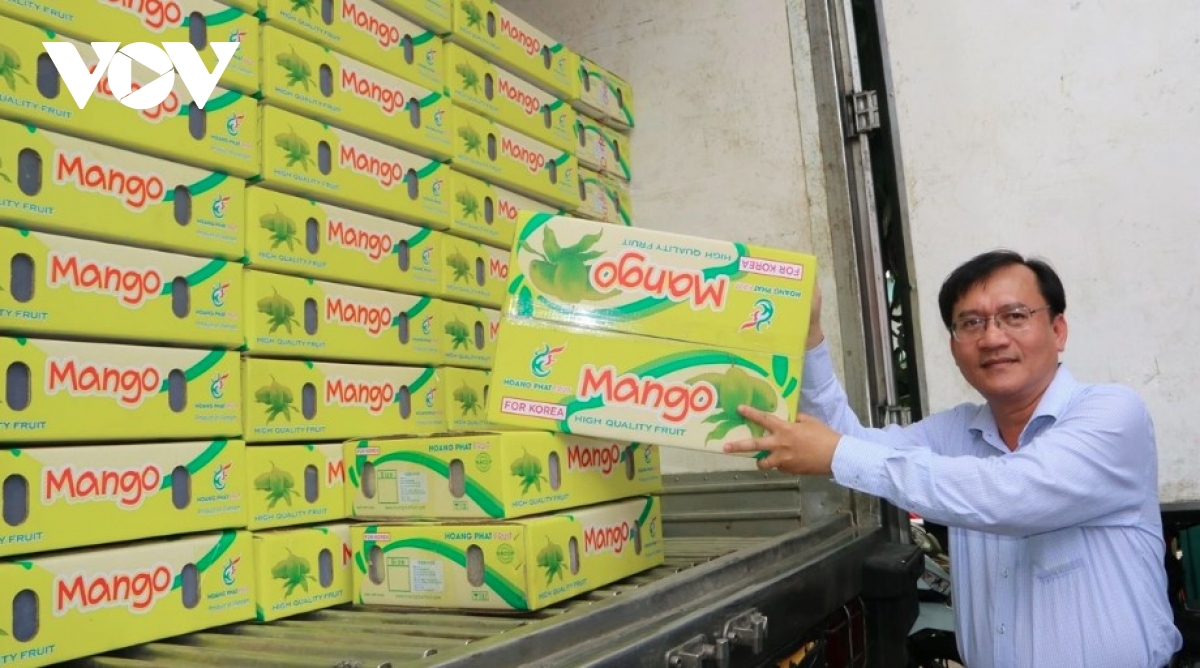 Fruit prices plunge despite strong export growth