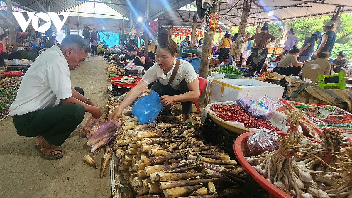 Doc dao cho con trung na si mon la niu chan du khach den voi tay bac hinh anh 6