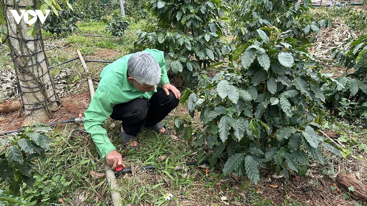 giu nguon nuoc, giu tuong lai xanh cho tay nguyen hinh anh 1