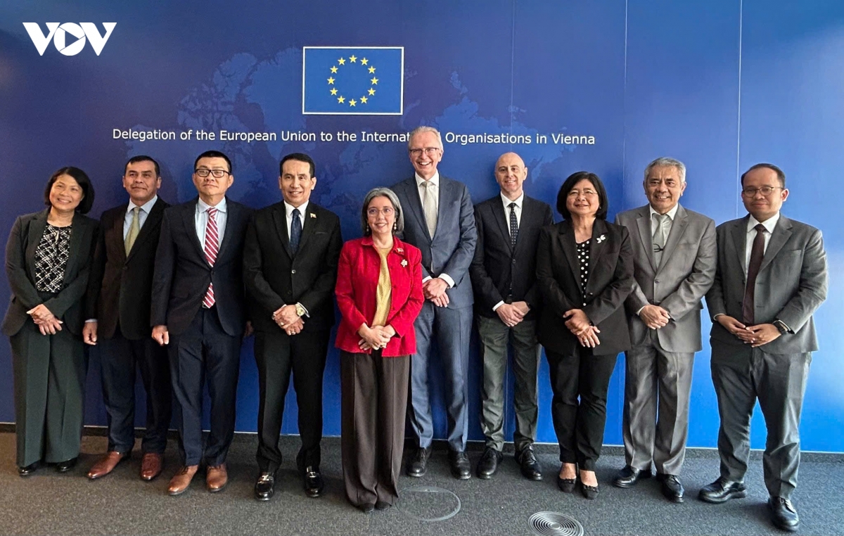 asean - eu thuc day hop tac da phuong va cai to lien hop quoc tai vienna hinh anh 3