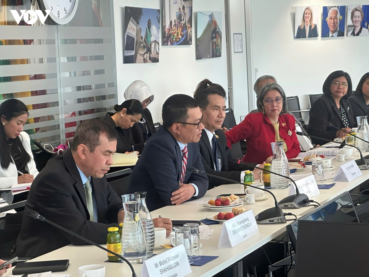 asean - eu thuc day hop tac da phuong va cai to lien hop quoc tai vienna hinh anh 2