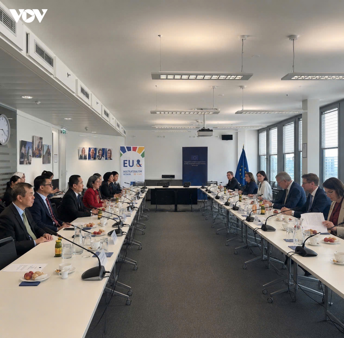 asean - eu thuc day hop tac da phuong va cai to lien hop quoc tai vienna hinh anh 1