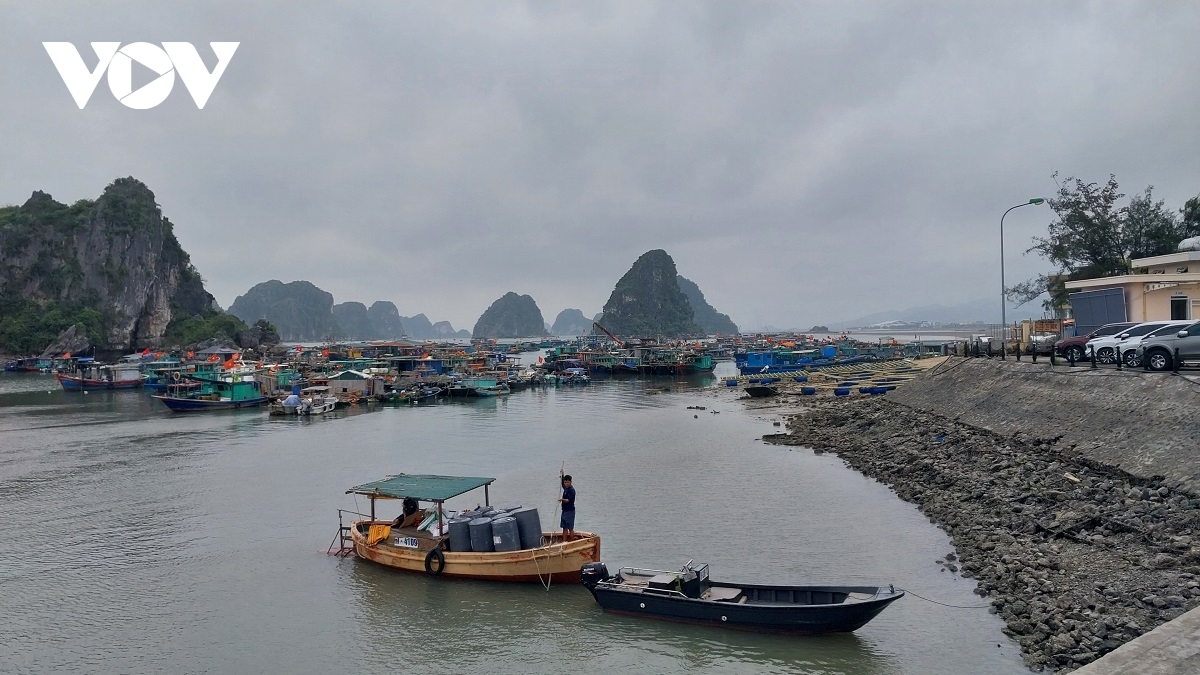 quang ninh chong khai thac hai san bat hop phap hinh anh 1