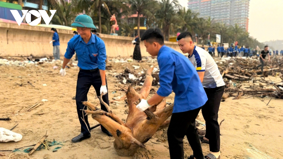 bien hai tien ken dac bay chong , luc luong chuc nang khan truong don dep hinh anh 9