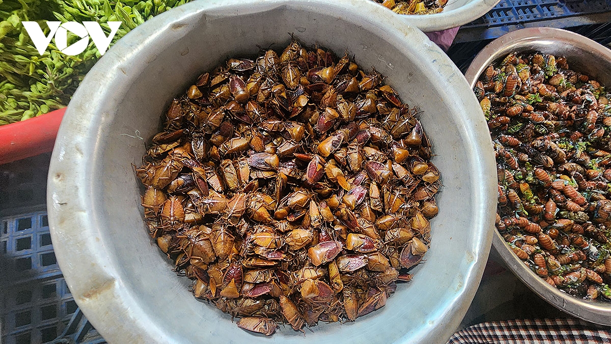 Doc dao cho con trung na si mon la niu chan du khach den voi tay bac hinh anh 4