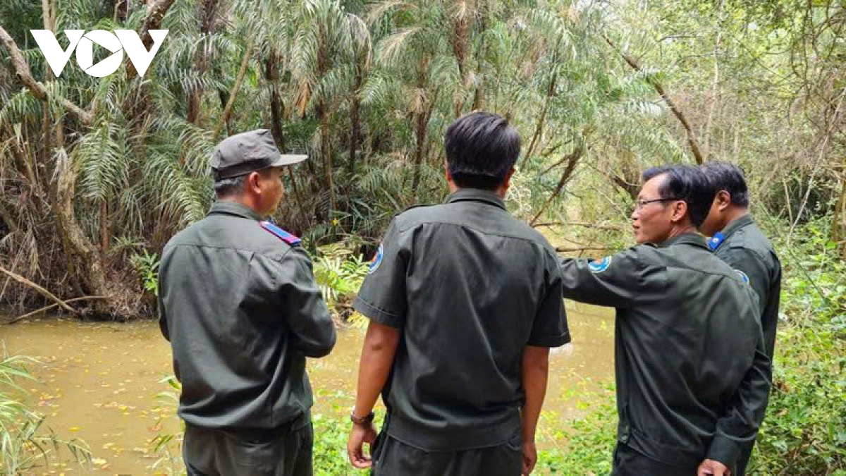 hon 50.500ha rung kho han o ca mau co nguy co xay ra chay hinh anh 2