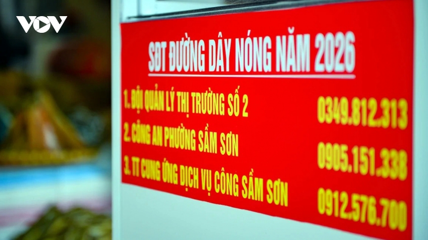 sam son, thanh hoa siet ky cuong thuong mai bang can doi chung cong cong hinh anh 3