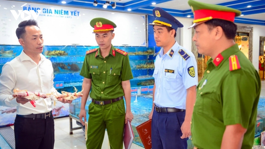 sam son, thanh hoa siet ky cuong thuong mai bang can doi chung cong cong hinh anh 4