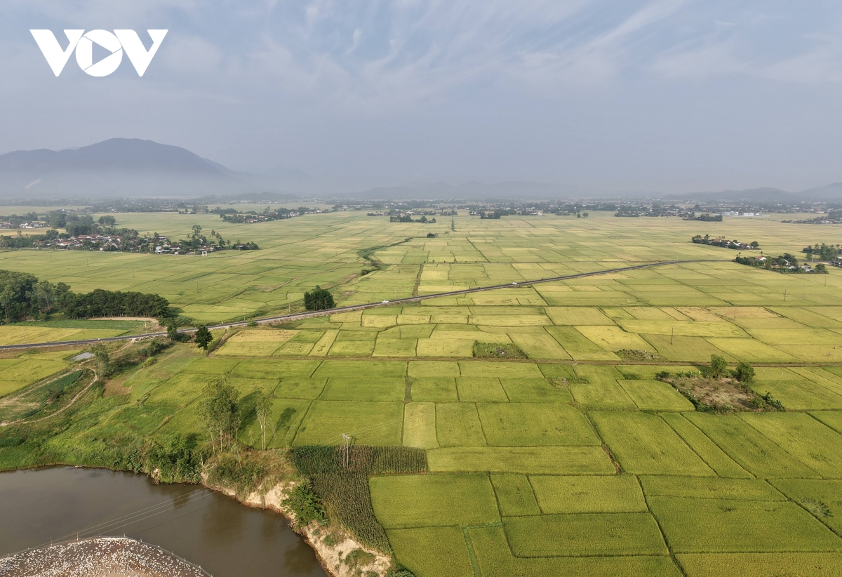  mua vang o vung ron lu Dak lak hinh anh 4