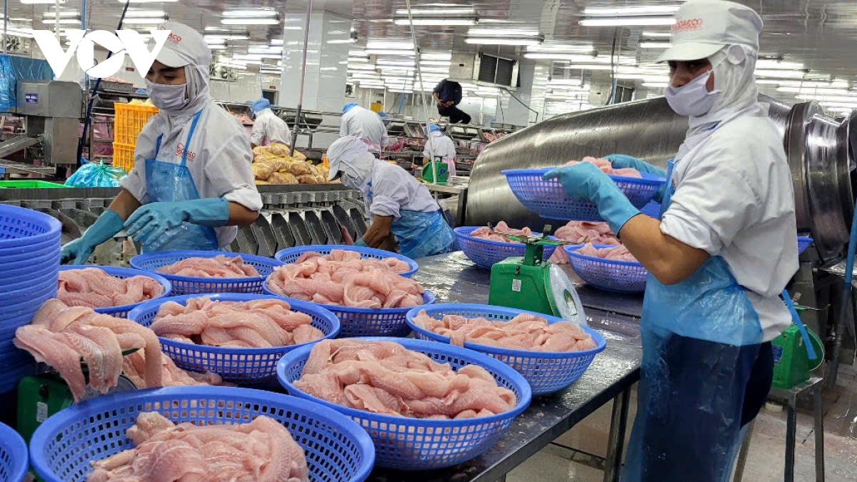 gia ca tra on dinh o muc cao, doanh nghiep va ngu dan Dong thap co lai hinh anh 2