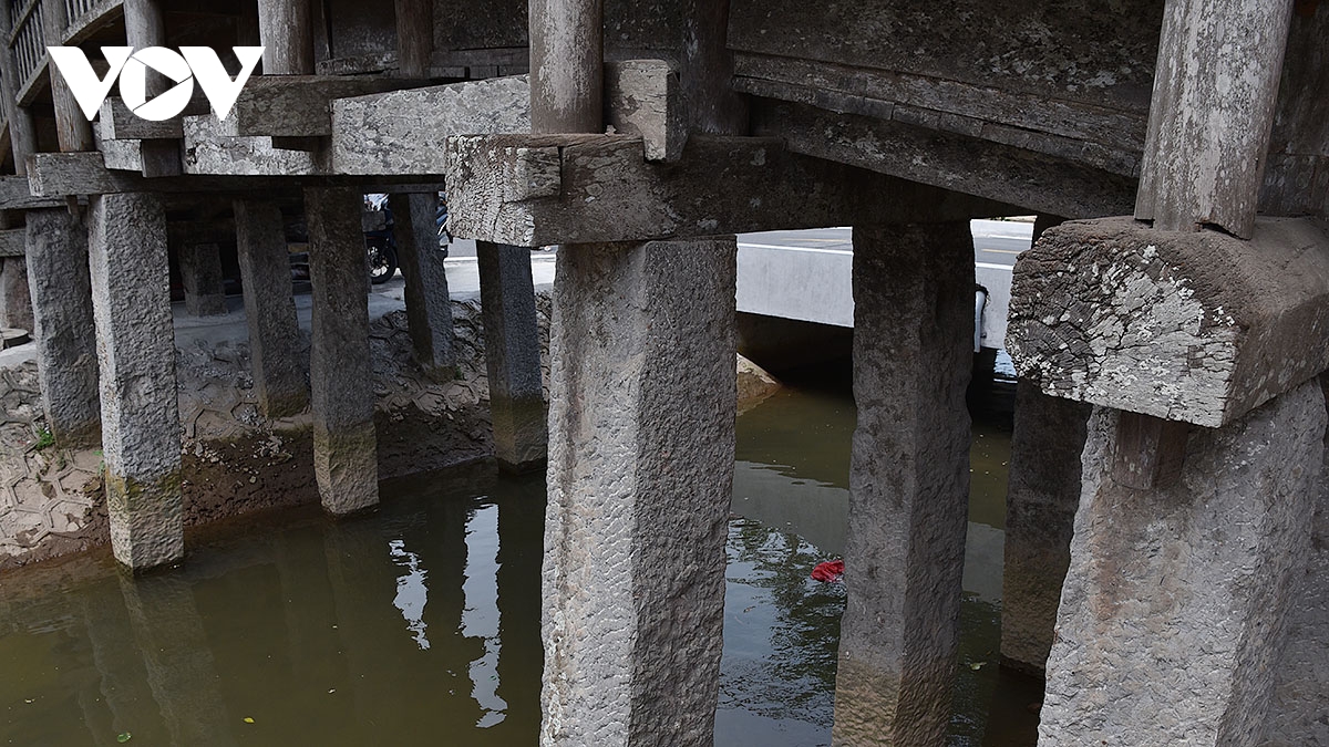 cau ngoi chua luong, cay cau di san kien truc doc dao hon 500 tuoi o ninh binh hinh anh 7