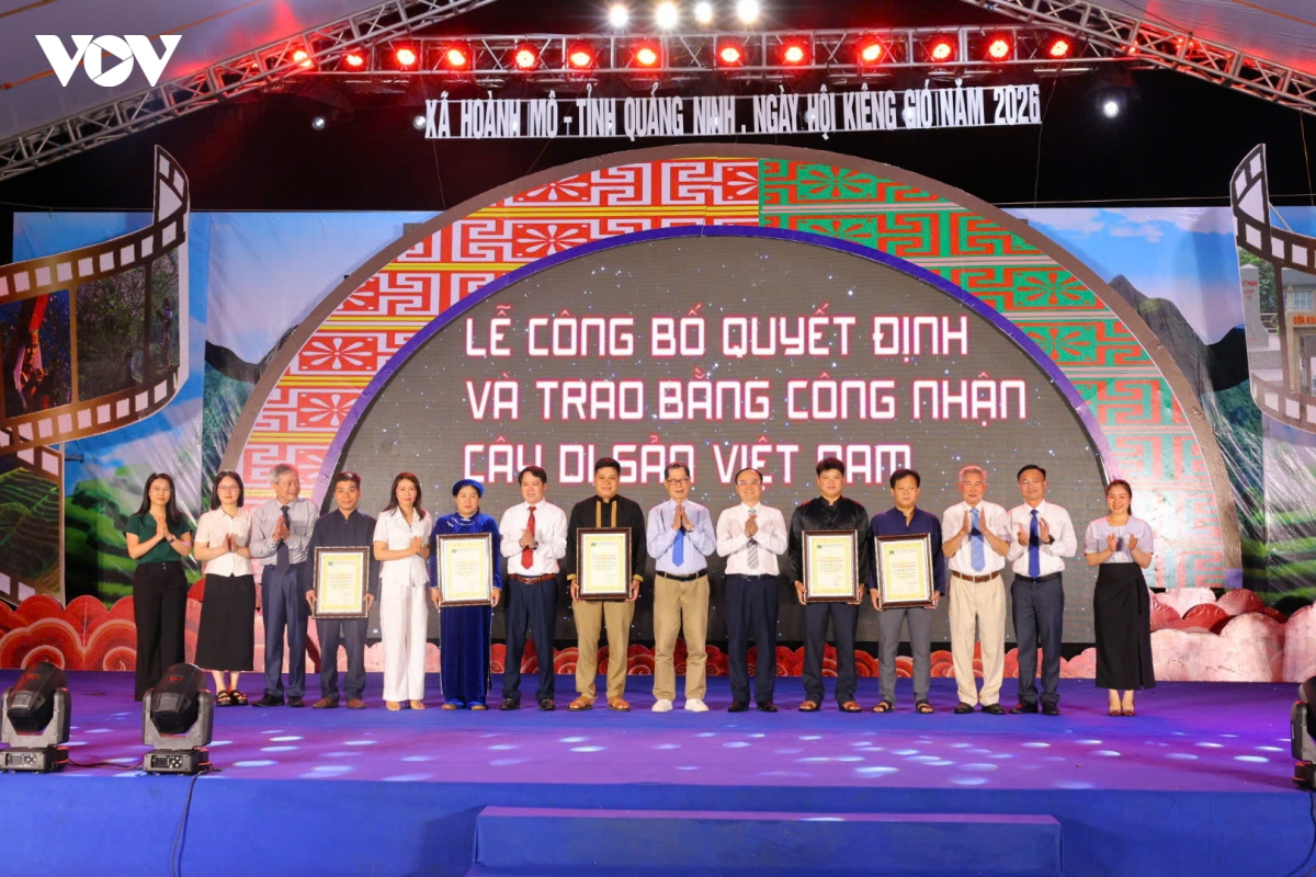 cay tram tuoi mo loi kinh te di san tren bien gioi hoanh mo quang ninh hinh anh 4