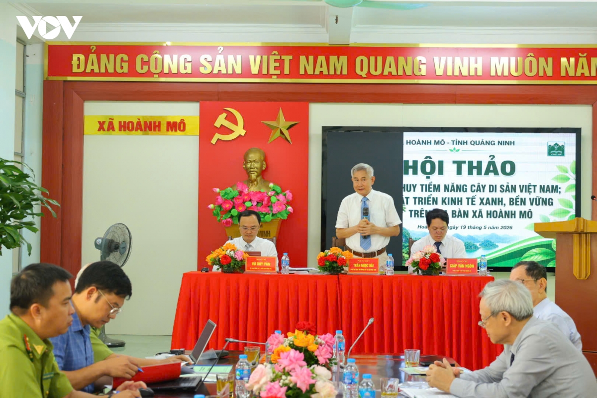 cay tram tuoi mo loi kinh te di san tren bien gioi hoanh mo quang ninh hinh anh 5