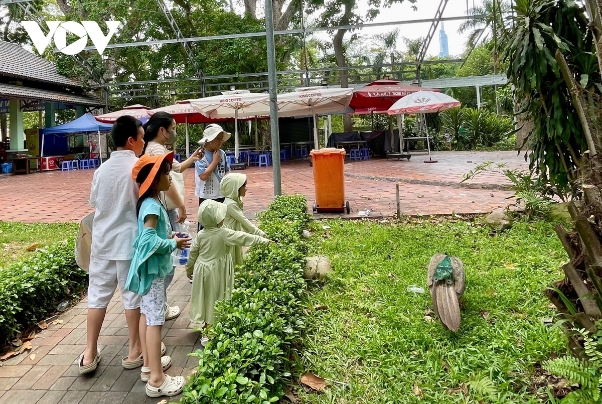 nguoi dan do ve cong vien, cam trai giua long thanh pho hinh anh 4