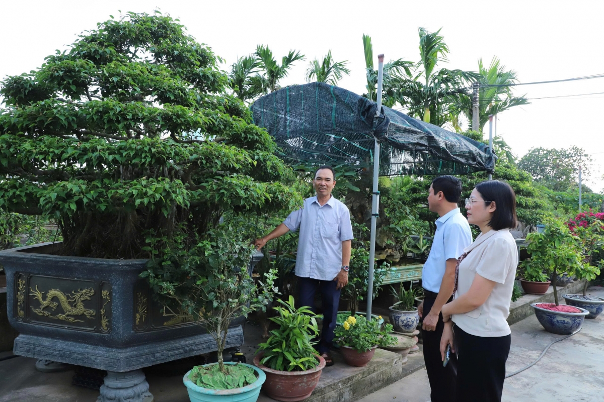 nhung vien gach hong dung xay xu dao giau dep o ninh binh hinh anh 3