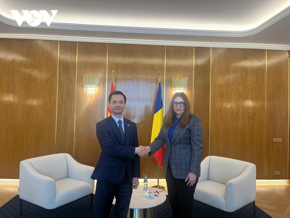 nang tam hop tac viet nam romania trong nhiem ky moi cua Dai su hinh anh 1