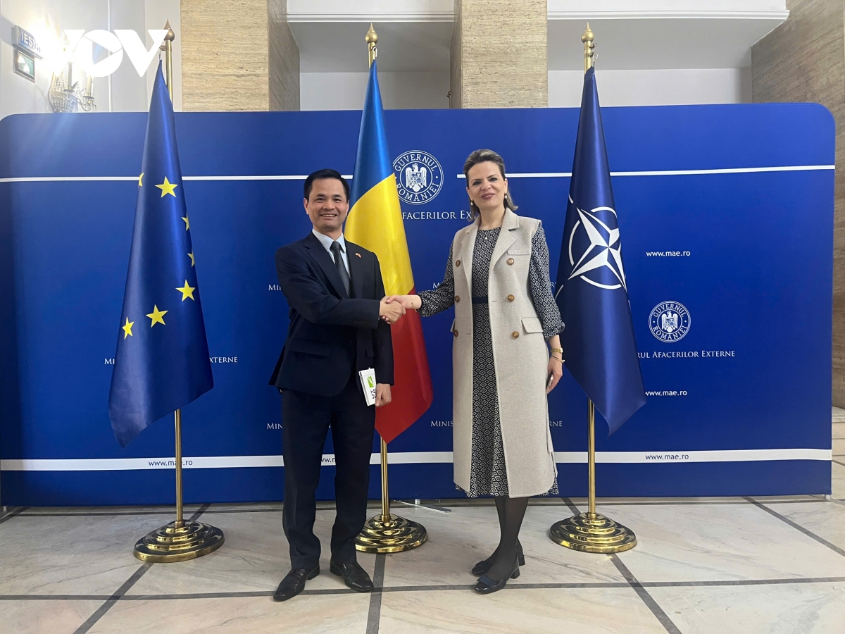 nang tam hop tac viet nam romania trong nhiem ky moi cua Dai su hinh anh 2