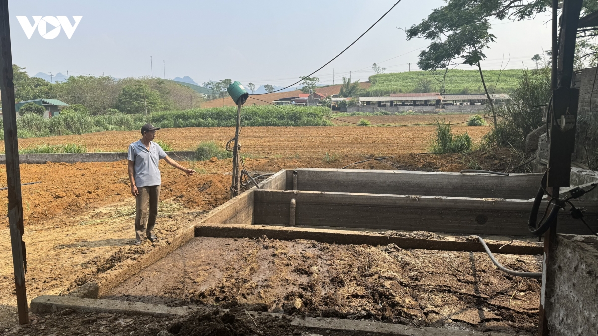 O nhiem nguon nuoc o son la nguyen nhan la do cac ho chan nuoi bo sua hinh anh 5
