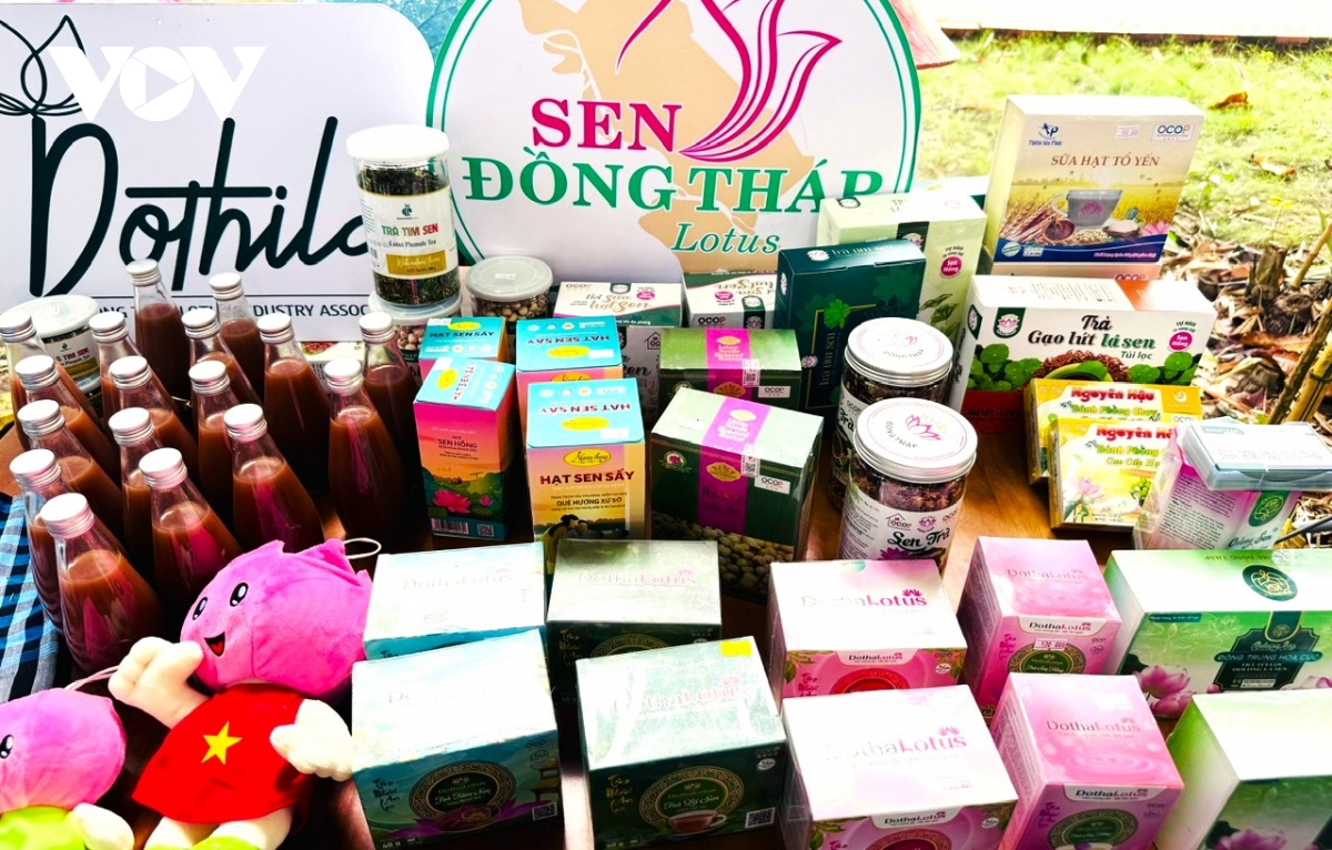 Dong thap che bien sau de mo rong thi truong va gia tang gia tri nong san hinh anh 3