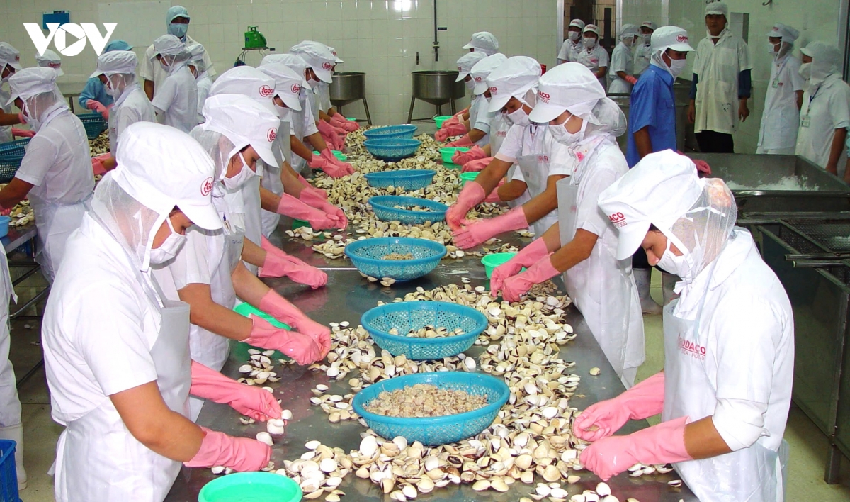 Kinh tế có vốn đầu tư nước ngoài là bộ phận quan trọng của nền kinh tế quốc gia