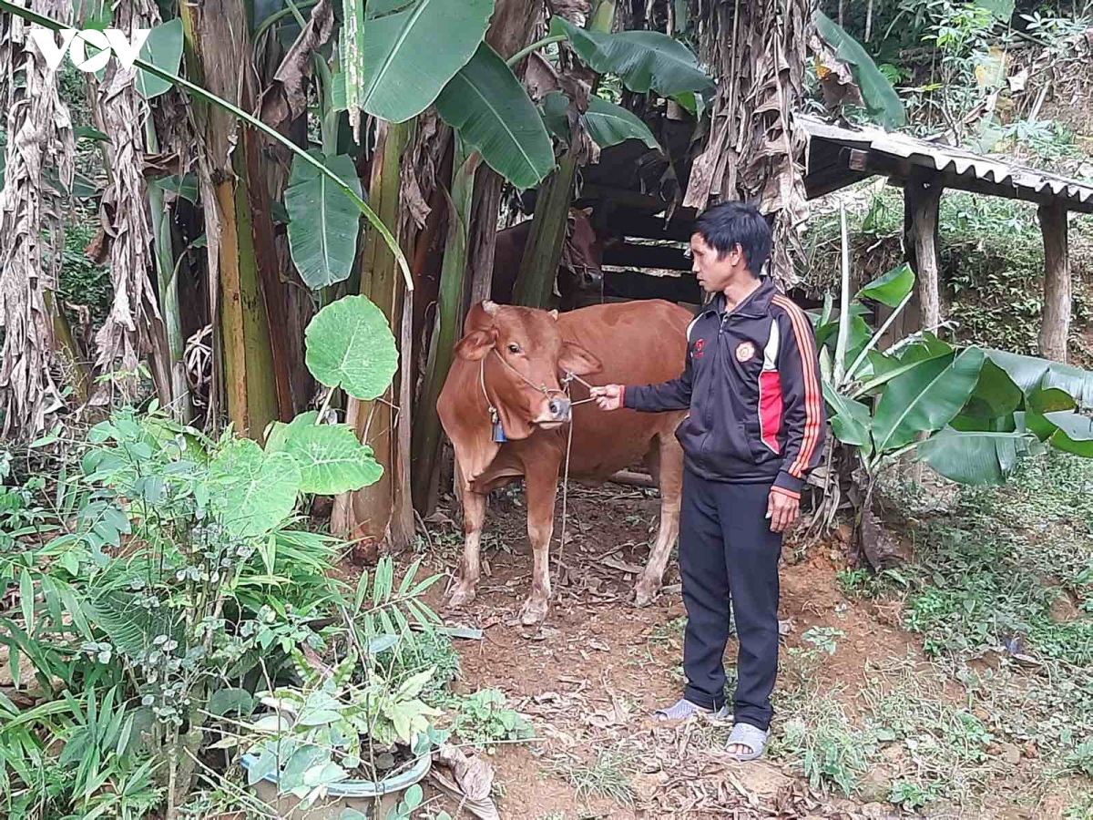 tao sinh ke ben vung cho dong bao vung cao thai nguyen hinh anh 2